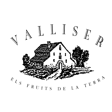 logo-valliser